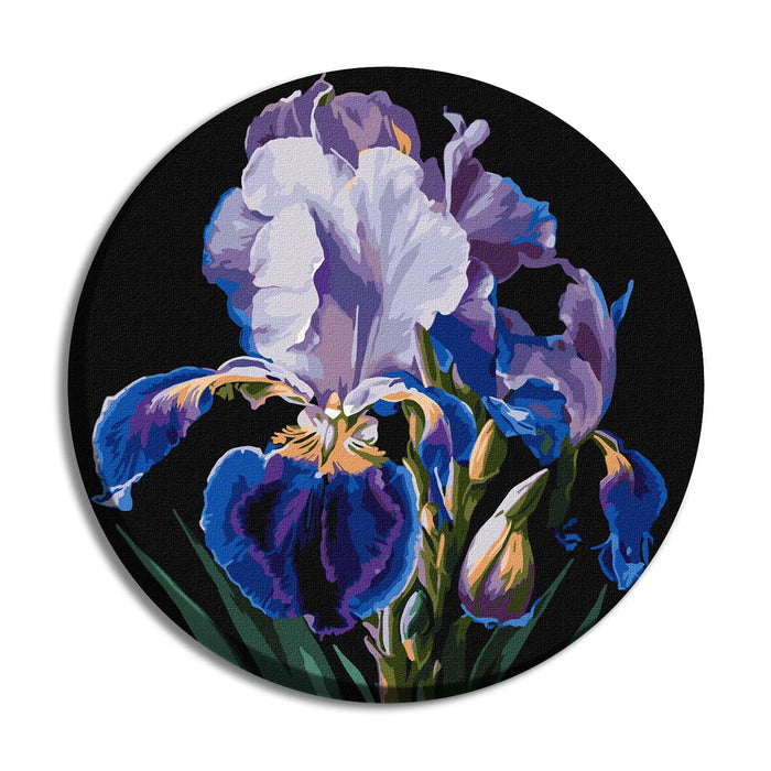 Painting by Numbers kit Delicate irises KHO-R1021