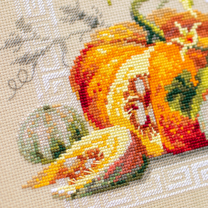 Pumpkin Fest 120-111 Counted Cross-Stitch Kit