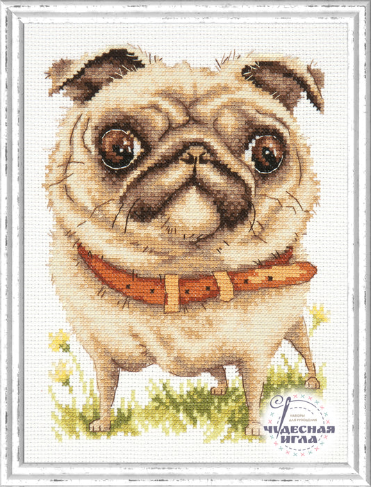 Pug-dog 16-17 Counted Cross-Stitch Kit