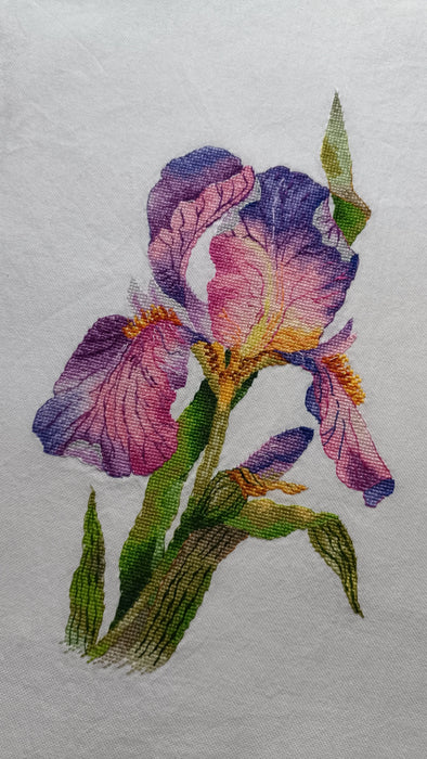 Lilac Iris - PDF Cross Stitch Pattern