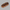 Eclair with Chocolate - PDF Cross Stitch Pattern