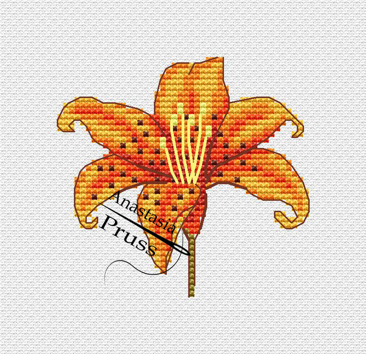 Tiger Lily - PDF Cross Stitch Pattern