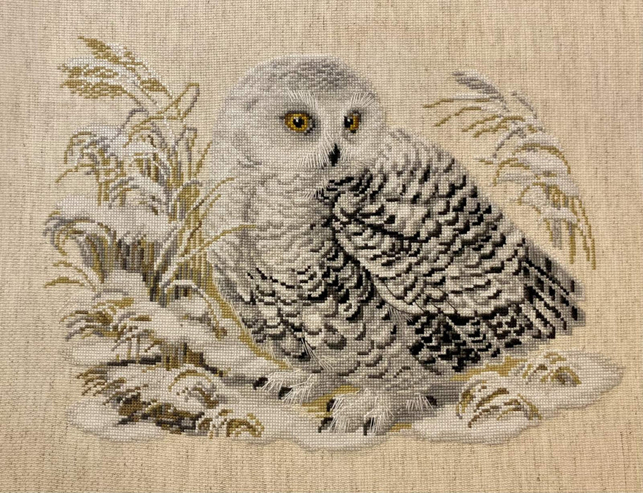 White Owl R1241 Counted Cross Stitch Kit