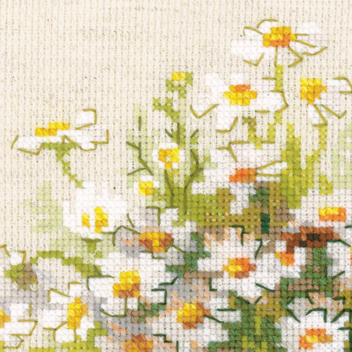 Russian Daisies R1478 Counted Cross Stitch Kit