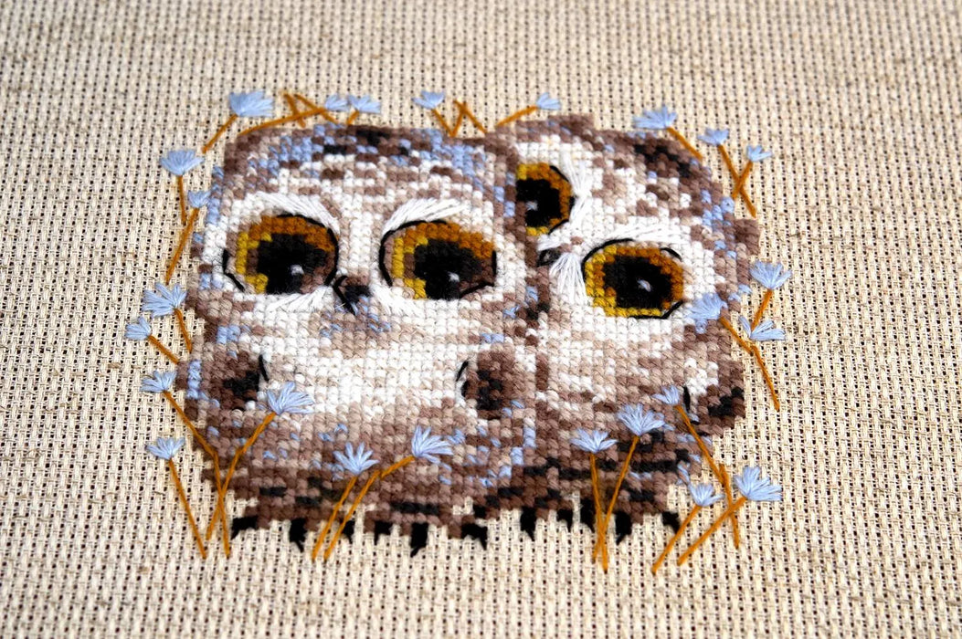 Little Owls R1755 Counted Cross Stitch Kit