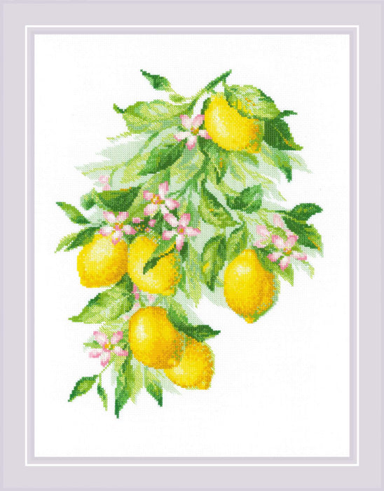 Bright Lemons R2054 Counted Cross Stitch Kit