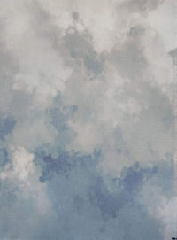 Cloudy Serenity Designer Printed AIDA Fabric. Canvas for embroidery with an applied background  KF-1193A