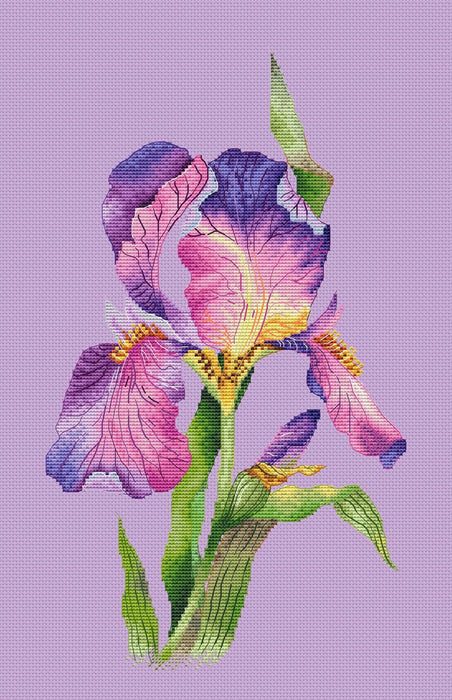 Lilac Iris - PDF Cross Stitch Pattern