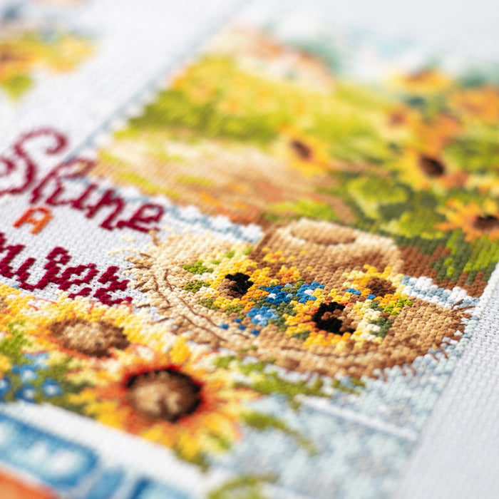 Shine like a Sunflouer! 540-704 Counted Cross-Stitch Kit