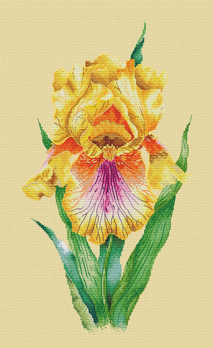 Yellow iris - PDF Cross Stitch Pattern