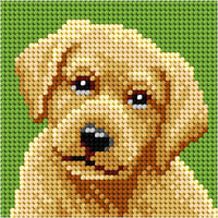 "My first embrodiery" kit. Needlepoint (half stitich) kit  "Labrador" 6767