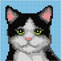 "My first embrodiery" kit. Needlepoint (half stitich) kit  "Cat" 6768