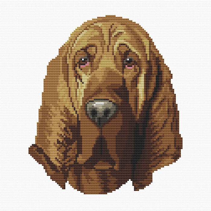 Bloodhound - PDF Cross Stitch Pattern