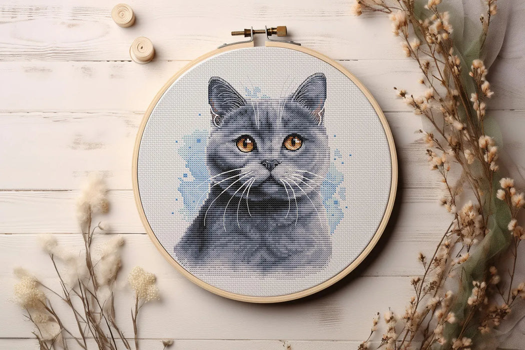 British Blue Shorthair - PDF Cross Stitch Pattern