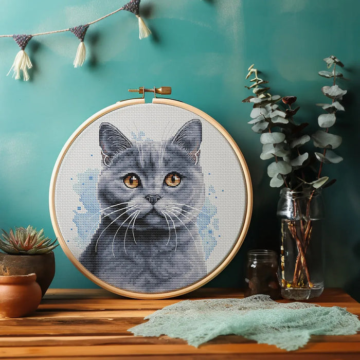 British Blue Shorthair - PDF Cross Stitch Pattern