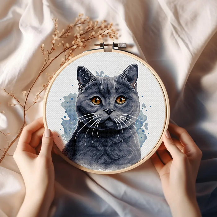 British Blue Shorthair - PDF Cross Stitch Pattern