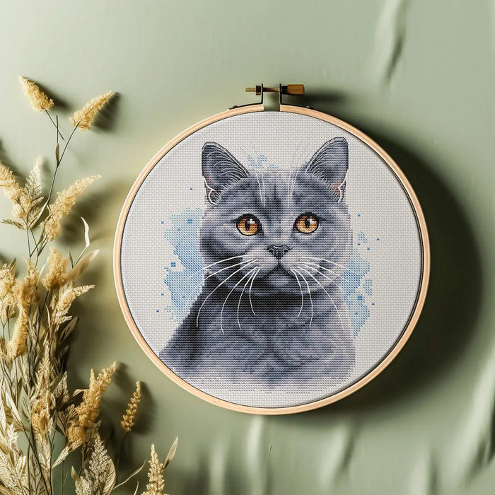 British Blue Shorthair - PDF Cross Stitch Pattern