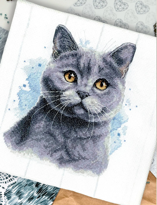 British Blue Shorthair - PDF Cross Stitch Pattern