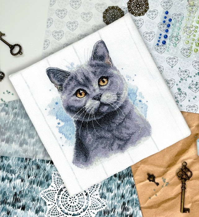 British Blue Shorthair - PDF Cross Stitch Pattern