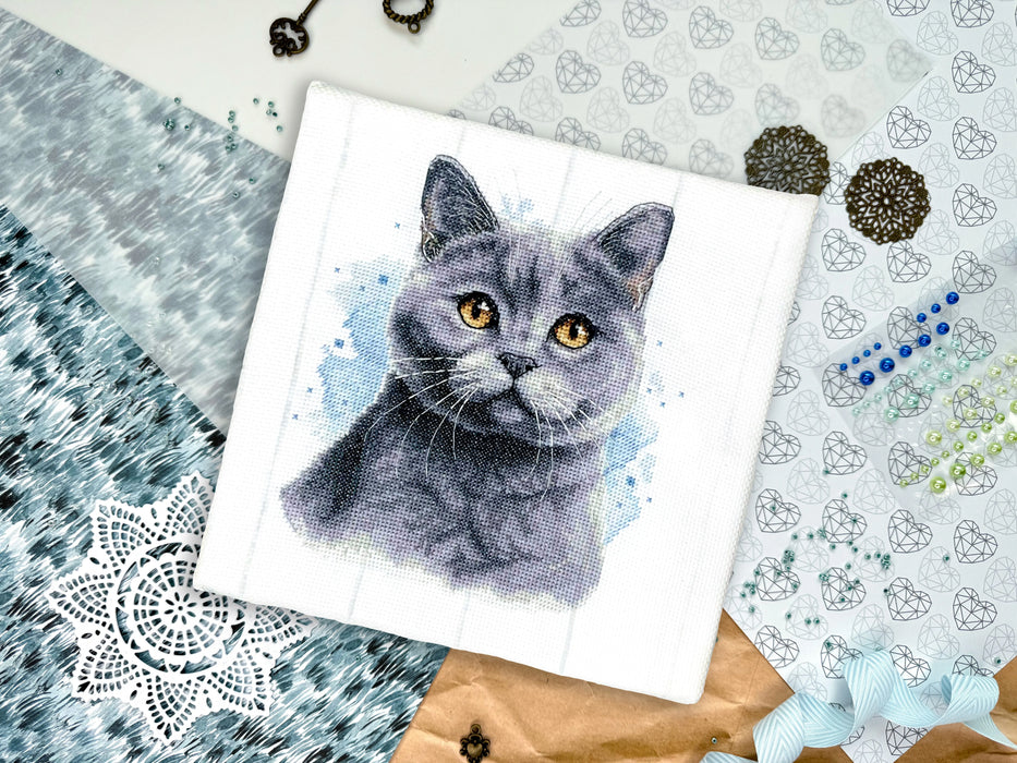 British Blue Shorthair - PDF Cross Stitch Pattern