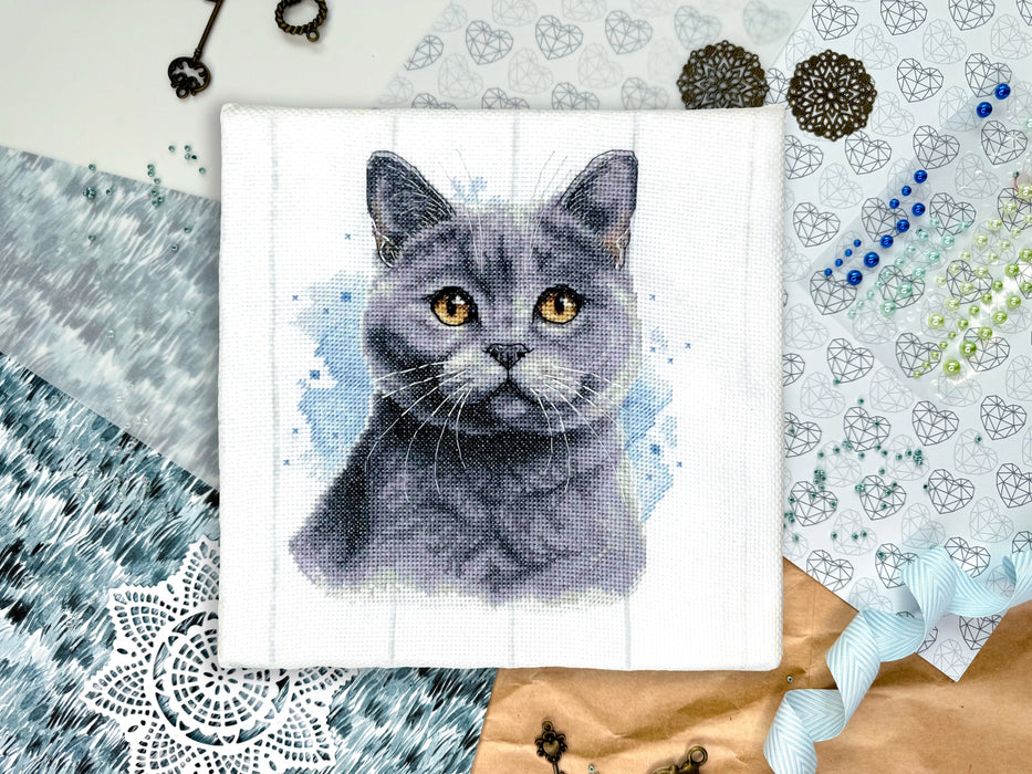 British Blue Shorthair - PDF Cross Stitch Pattern