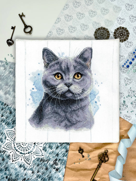 British Blue Shorthair - PDF Cross Stitch Pattern