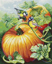 Birdies On Pumpkin BU5094L Counted Cross-Stitch Kit