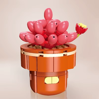 Plant Building Brick Kit - Adromischus by Wizardi F07N11-29-30(113)