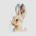 Hare - PDF Cross Stitch Pattern - Wizardi