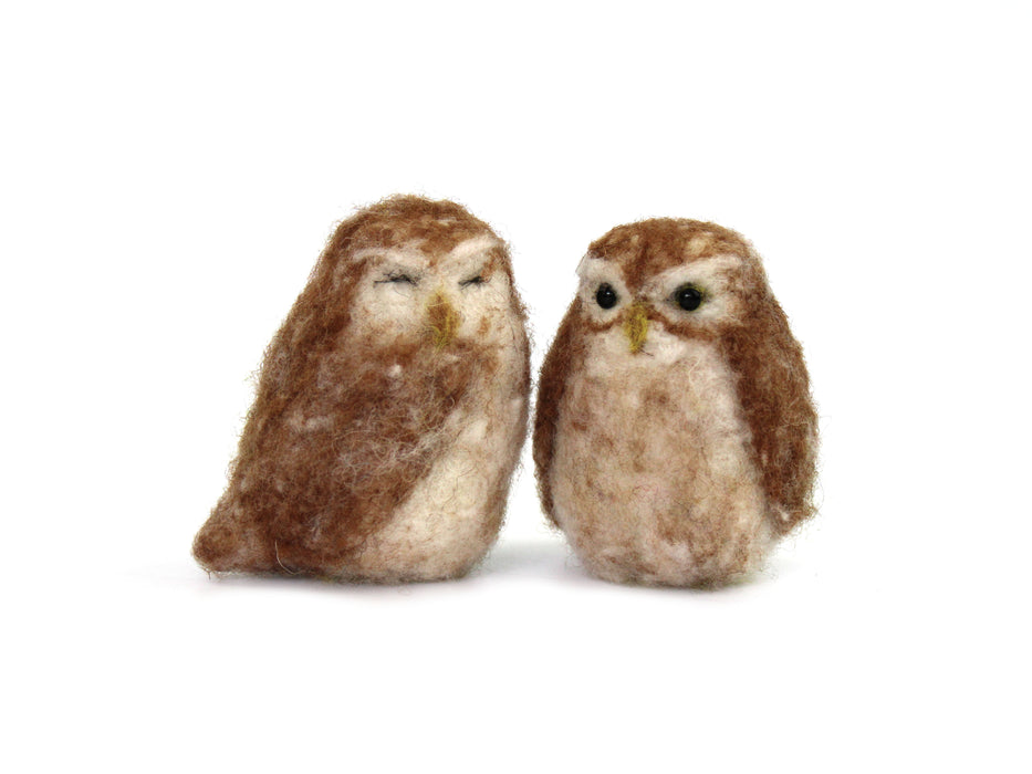 Felting Kit - Little Owl Needle Felt Kit