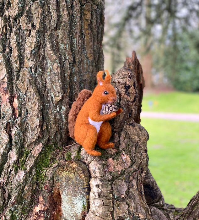 Felting Kit - Red Squirrel Needle Felt Kit