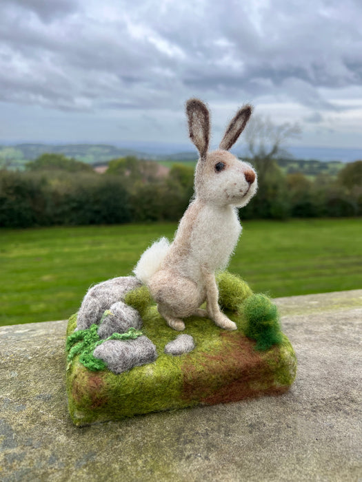 Felting Kit - Mountain Hare Needle Felt Kit