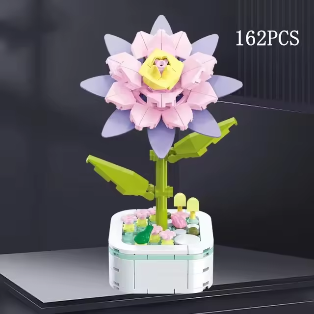 Epiphyllum Cactus Building Brick Potted Flower F07M9-9(103)-C5