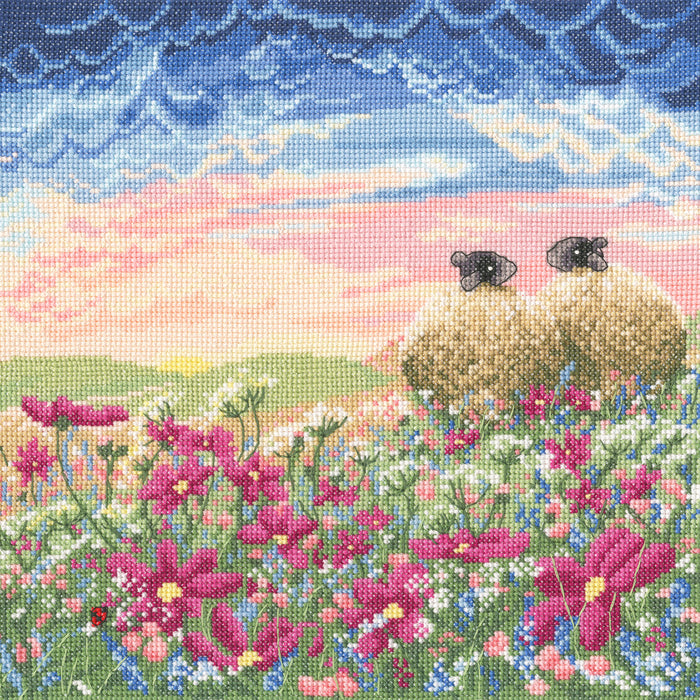 Ladybird In The Meadow XLP11 Counted Cross Stitch Kit