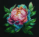 Abalone Pearl Peony BC203l Counted Cross-Stitch Kit - Wizardi