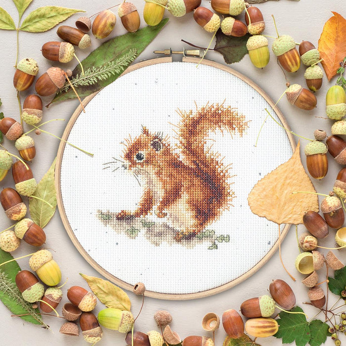 Acorns XHD116P Counted Cross Stitch Kit - Wizardi