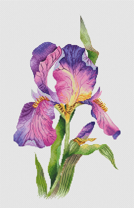 Lilac Iris - PDF Cross Stitch Pattern