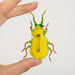 Beadwork kit for creating brooch Crystal Art Green beetle BP-329C - Wizardi