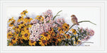 Black Eyed Susans and Phlox K-208 Counted Cross-Stitch Kit - Wizardi