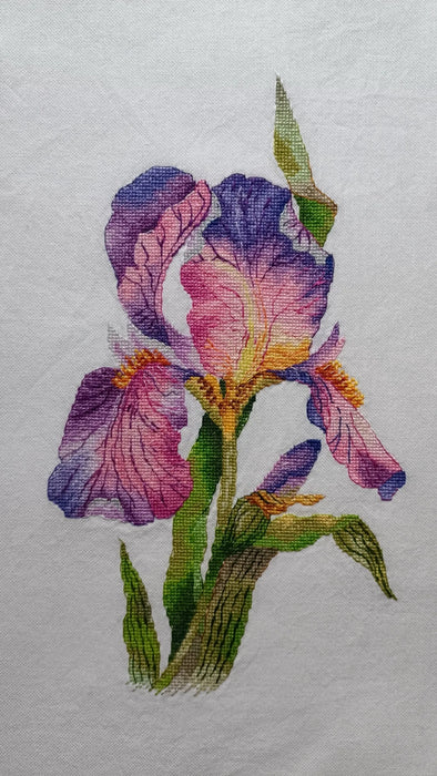 Lilac Iris - PDF Cross Stitch Pattern