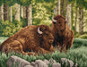 Counted cross stitch kit Bison M-520C - Wizardi