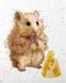 Counted cross stitch kit Hamster M-528C - Wizardi