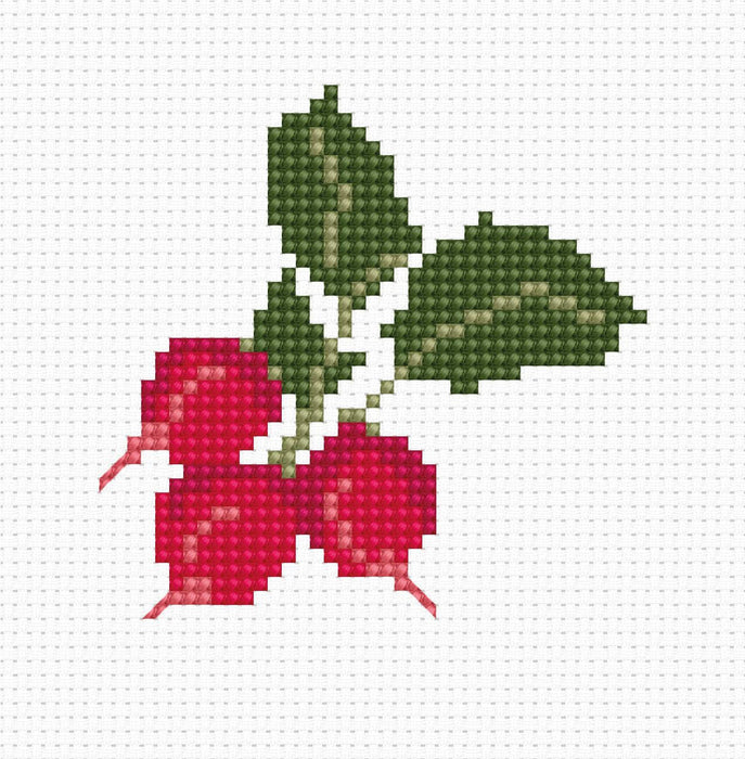 Radish B036L Counted Cross-Stitch Kit