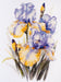 Cross stitch kit Irises AH-142 - Wizardi