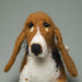 Felting kit Basset Hound V-148C - Wizardi