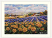 Fields of Lavender and Sun K-179 Counted Cross-Stitch Kit - Wizardi