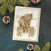 Highland Christmas XHD128 Counted Cross Stitch Kit - Wizardi