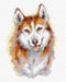 Husky 133CS Counted Cross-Stitch Kit - Wizardi