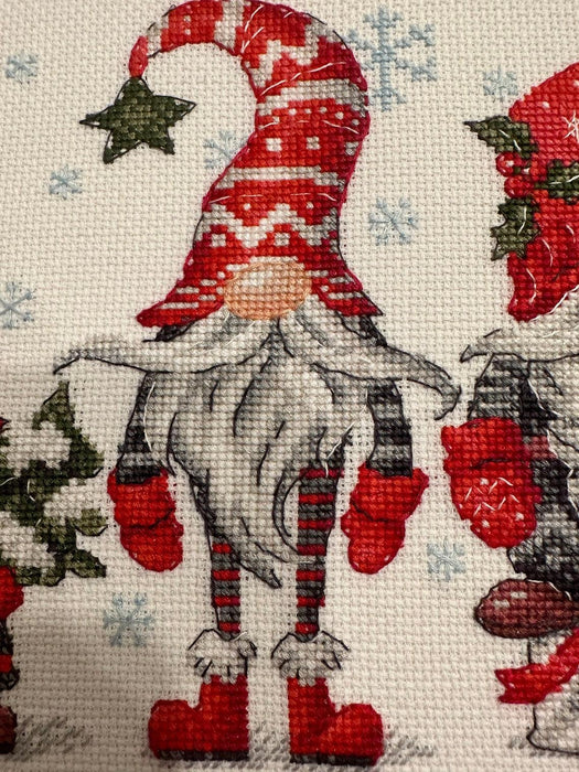 Gnomes 2171R Counted Cross Stitch Kit - Wizardi