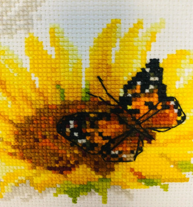 Hot Summer R1488 Counted Cross Stitch Kit